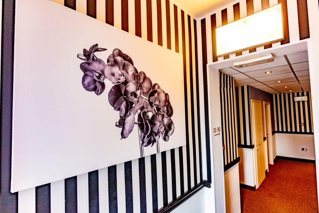 ברדולינו Art Hotel Ventaglio מראה חיצוני תמונה